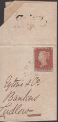 133632 1846 PIECE WITH 1D (SG8) CANCELLED 'LUDLOW' DATE STAMP.