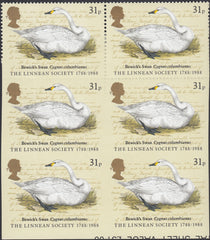 114079 1988 31P LINNEAN SOCIETY 'BEWICK SWAN' IMPERFORATE PAIR (SG1382a).