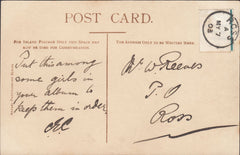 116838 1903 POST CARD USED LOCALLY IN ROSS WITH MARGINAL LABEL INSTEAD OF STAMP.