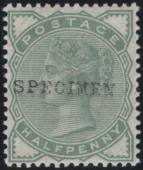 134297 1880 ½D PALE GREEN (SG165) OVERPRINTED 'SPECIMEN' TYPE 9 (SPEC K2(s).