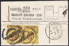 87943 - PARCEL POST LABEL/MIDDLESEX. 1903 label SUNBURY CO...