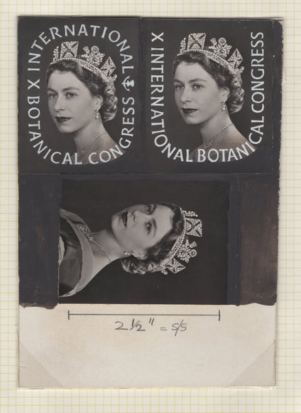 135246 1964 'TENTH INTERNATIONAL BOTANICAL CONGRESS' SUPERB ARCHIVE OF ARTWORK BY THE DESIGNERS OF THIS ISSUE MICHAEL AND SYLVIA GOAMAN.