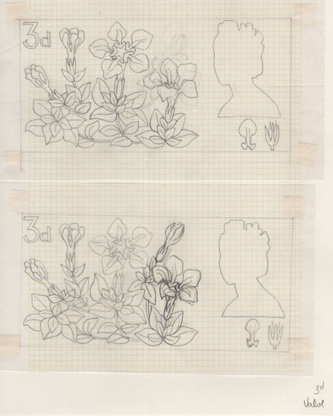 135246 1964 'TENTH INTERNATIONAL BOTANICAL CONGRESS' SUPERB ARCHIVE OF ARTWORK BY THE DESIGNERS OF THIS ISSUE MICHAEL AND SYLVIA GOAMAN.