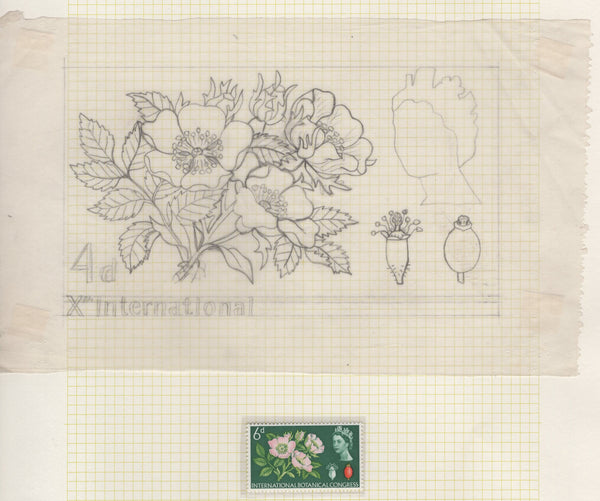 135246 1964 'TENTH INTERNATIONAL BOTANICAL CONGRESS' SUPERB ARCHIVE OF ARTWORK BY THE DESIGNERS OF THIS ISSUE MICHAEL AND SYLVIA GOAMAN.