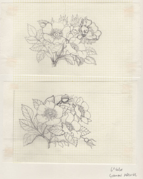 135246 1964 'TENTH INTERNATIONAL BOTANICAL CONGRESS' SUPERB ARCHIVE OF ARTWORK BY THE DESIGNERS OF THIS ISSUE MICHAEL AND SYLVIA GOAMAN.