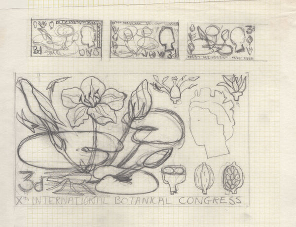 135246 1964 'TENTH INTERNATIONAL BOTANICAL CONGRESS' SUPERB ARCHIVE OF ARTWORK BY THE DESIGNERS OF THIS ISSUE MICHAEL AND SYLVIA GOAMAN.