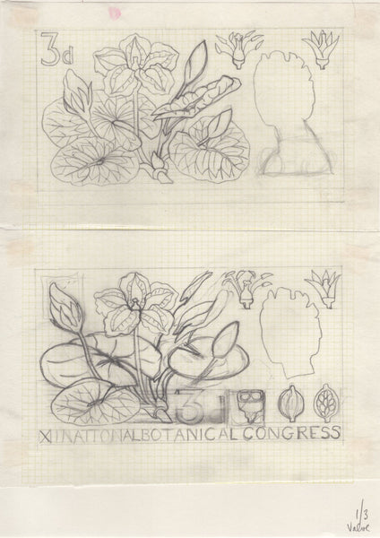 135246 1964 'TENTH INTERNATIONAL BOTANICAL CONGRESS' SUPERB ARCHIVE OF ARTWORK BY THE DESIGNERS OF THIS ISSUE MICHAEL AND SYLVIA GOAMAN.