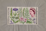135246 1964 'TENTH INTERNATIONAL BOTANICAL CONGRESS' SUPERB ARCHIVE OF ARTWORK BY THE DESIGNERS OF THIS ISSUE MICHAEL AND SYLVIA GOAMAN.