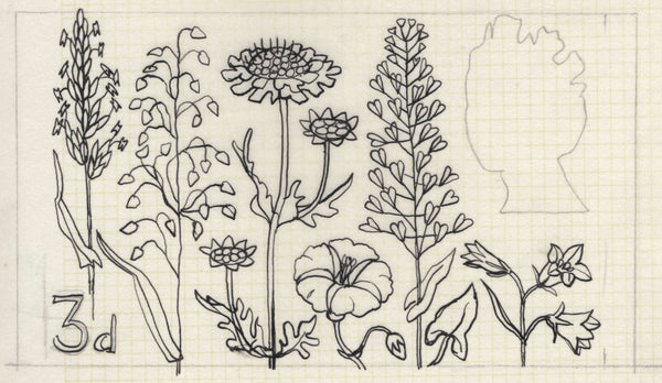 135246 1964 'TENTH INTERNATIONAL BOTANICAL CONGRESS' SUPERB ARCHIVE OF ARTWORK BY THE DESIGNERS OF THIS ISSUE MICHAEL AND SYLVIA GOAMAN.