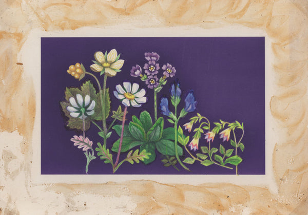 135246 1964 'TENTH INTERNATIONAL BOTANICAL CONGRESS' SUPERB ARCHIVE OF ARTWORK BY THE DESIGNERS OF THIS ISSUE MICHAEL AND SYLVIA GOAMAN.