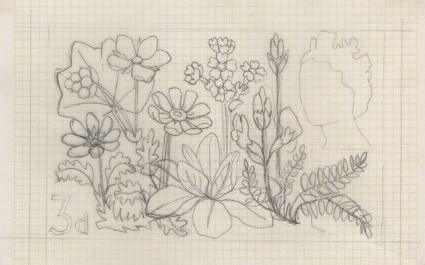 135246 1964 'TENTH INTERNATIONAL BOTANICAL CONGRESS' SUPERB ARCHIVE OF ARTWORK BY THE DESIGNERS OF THIS ISSUE MICHAEL AND SYLVIA GOAMAN.