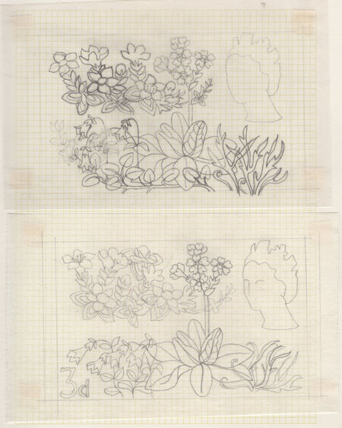 135246 1964 'TENTH INTERNATIONAL BOTANICAL CONGRESS' SUPERB ARCHIVE OF ARTWORK BY THE DESIGNERS OF THIS ISSUE MICHAEL AND SYLVIA GOAMAN.