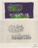 135246 1964 'TENTH INTERNATIONAL BOTANICAL CONGRESS' SUPERB ARCHIVE OF ARTWORK BY THE DESIGNERS OF THIS ISSUE MICHAEL AND SYLVIA GOAMAN.