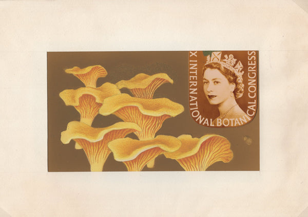 135246 1964 'TENTH INTERNATIONAL BOTANICAL CONGRESS' SUPERB ARCHIVE OF ARTWORK BY THE DESIGNERS OF THIS ISSUE MICHAEL AND SYLVIA GOAMAN.