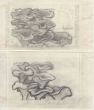 135246 1964 'TENTH INTERNATIONAL BOTANICAL CONGRESS' SUPERB ARCHIVE OF ARTWORK BY THE DESIGNERS OF THIS ISSUE MICHAEL AND SYLVIA GOAMAN.