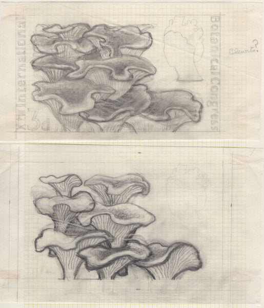 135246 1964 'TENTH INTERNATIONAL BOTANICAL CONGRESS' SUPERB ARCHIVE OF ARTWORK BY THE DESIGNERS OF THIS ISSUE MICHAEL AND SYLVIA GOAMAN.