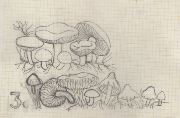 135246 1964 'TENTH INTERNATIONAL BOTANICAL CONGRESS' SUPERB ARCHIVE OF ARTWORK BY THE DESIGNERS OF THIS ISSUE MICHAEL AND SYLVIA GOAMAN.