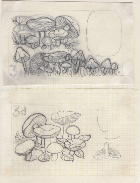 135246 1964 'TENTH INTERNATIONAL BOTANICAL CONGRESS' SUPERB ARCHIVE OF ARTWORK BY THE DESIGNERS OF THIS ISSUE MICHAEL AND SYLVIA GOAMAN.