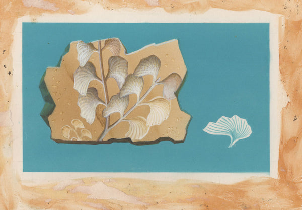 135246 1964 'TENTH INTERNATIONAL BOTANICAL CONGRESS' SUPERB ARCHIVE OF ARTWORK BY THE DESIGNERS OF THIS ISSUE MICHAEL AND SYLVIA GOAMAN.