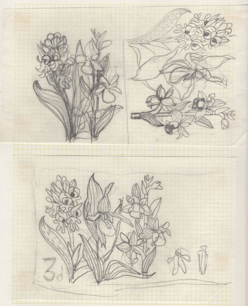 135246 1964 'TENTH INTERNATIONAL BOTANICAL CONGRESS' SUPERB ARCHIVE OF ARTWORK BY THE DESIGNERS OF THIS ISSUE MICHAEL AND SYLVIA GOAMAN.