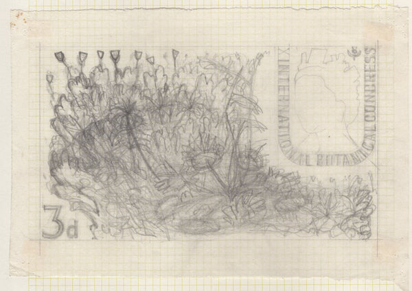 135246 1964 'TENTH INTERNATIONAL BOTANICAL CONGRESS' SUPERB ARCHIVE OF ARTWORK BY THE DESIGNERS OF THIS ISSUE MICHAEL AND SYLVIA GOAMAN.