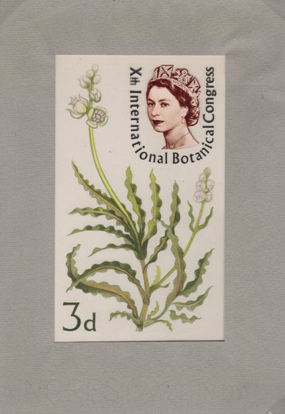 135246 1964 'TENTH INTERNATIONAL BOTANICAL CONGRESS' SUPERB ARCHIVE OF ARTWORK BY THE DESIGNERS OF THIS ISSUE MICHAEL AND SYLVIA GOAMAN.