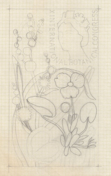 135246 1964 'TENTH INTERNATIONAL BOTANICAL CONGRESS' SUPERB ARCHIVE OF ARTWORK BY THE DESIGNERS OF THIS ISSUE MICHAEL AND SYLVIA GOAMAN.