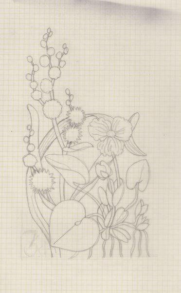 135246 1964 'TENTH INTERNATIONAL BOTANICAL CONGRESS' SUPERB ARCHIVE OF ARTWORK BY THE DESIGNERS OF THIS ISSUE MICHAEL AND SYLVIA GOAMAN.