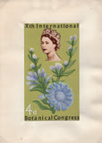135246 1964 'TENTH INTERNATIONAL BOTANICAL CONGRESS' SUPERB ARCHIVE OF ARTWORK BY THE DESIGNERS OF THIS ISSUE MICHAEL AND SYLVIA GOAMAN.