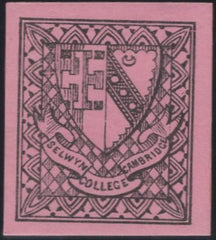 136006 1882 ½D BLACK ON MAGENTA SELWYN COLLEGE, CAMBRIDGE (CS18) UNUSED SINGLE.