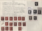 136824 THE 'R C ALCOCK OF CHELTENHAM' REFERENCE COLLECTION OF MISSING IMPRIMATUR LETTERINGS FROM 1855 DIE 2 1D PLATE EIGHT (16 STAMPS, TWO PAIRS, DATED PIECE, ONE COVER AND SIX PHOTOS).