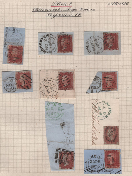 138286 1855 DIE 2 1D PL.8 (SPEC C6) GROUP OF NINE DATED PIECES, EX DR WIGGINS.