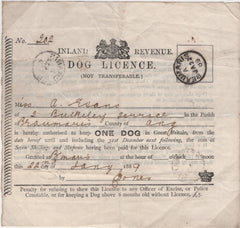 138733 1889 'INLAND REVENUE/DOG LICENCE' WITH 'BEAUMARIS', ANGLESEY DATE STAMP.