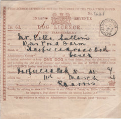 138735 1904 'INLAND REVENUE/DOG LICENCE' WITH 'HATFIELD BROAD.OAK' DATE STAMP.