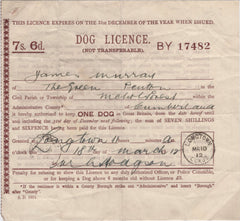 138737 1912 'DOG LICENCE/7s. 6d.' WITH 'LONGTOWN/CUMBD' DATE STAMP.