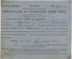 138741 1894 'DOGS./CERTIFICATE OF EXEMPTION FROM DUTY'.