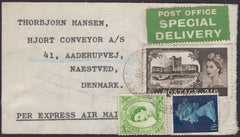 139828 1968 LINEN PARCEL TAG STAFFORDSHIRE TO DENMARK WITH 2/6 CASTLE AND 'POST OFFICE SPECIAL DELIVERY' LABEL IN GREEN.