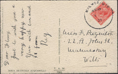 139897 1921 HAND PAINTED POST CARD USED LOCALLY IN MALMESBURY WITH 'MALMESBURY' SKELETON DATE STAMP.