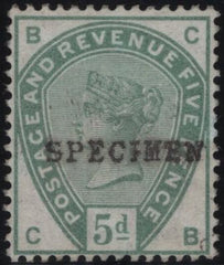 141796 1884 UNISSUED 5D GREEN WITH 'LINE UNDER d' OVERPRINTED 'SPECIMEN' TYPE 9 (SG193 SPEC K23t).