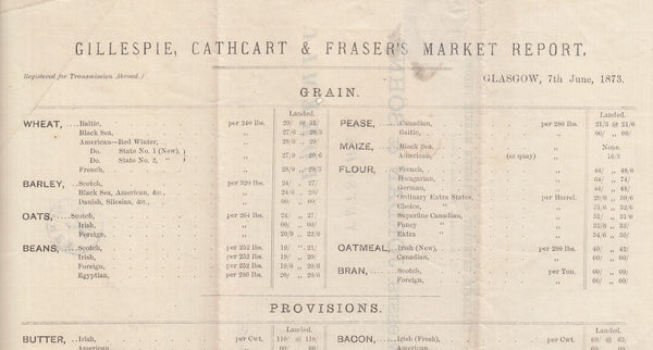 143627 1873 PRINTED MATTER GLASGOW TO TETSCHEN, BOHEMIA 1d PL.151 (SG43).
