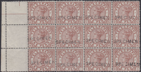 144014 1876 1d RED-BROWN TELEGRAPH PL.1 UNUSED BLOCK OF TWELVE OVERPRINTED 'SPECIMEN' TYPE 10 (T2s).