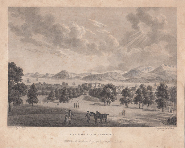 144205 1784 ENGRAVING 'VIEW IN THE ISLE OF ANGLESEA' BY METZ.