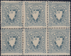 144296 1884 ST. JOHN'S COLLEGE, OXFORD ½d GREY-BLUE (CS17) UNUSED BLOCK OF SIX.