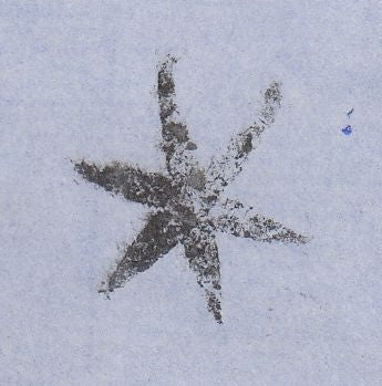 144407 1860 MAIL READING TO BASINGSTOKE 1d (SG40) SOLID STAR SHAPED INSPECTOR'S MARK.