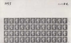 101542 - 1855 DIE 2 1D PLATE 24 ORIGINAL PHOTOGRAPH OF THE IMPRIMATUR SHEET.