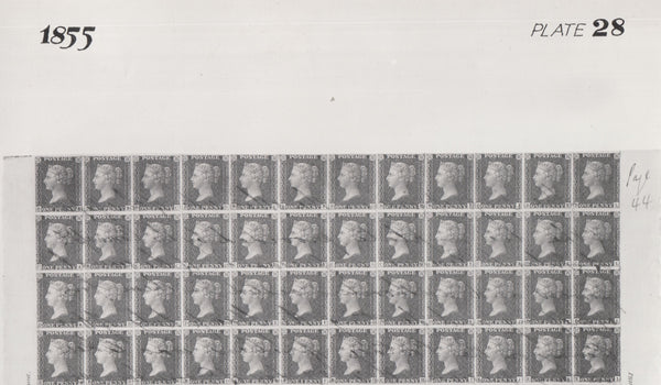 101545 - 1855 DIE 2 1D PLATE 28 ORIGINAL PHOTOGRAPH OF THE IMPRIMATUR SHEET.