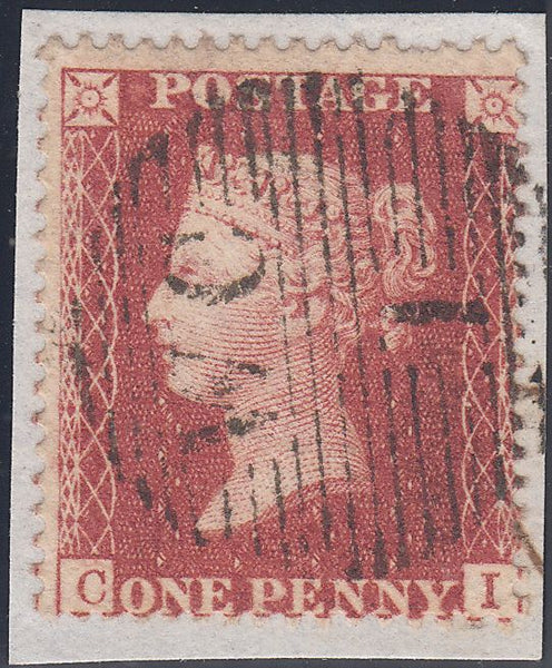 101705 - PL.48 PERF 16 (SG36) (CI).