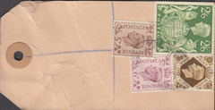 104153 - 1949 KGVI BANKERS PARCEL TAG/2/6 YELLOW-GREEN (SG476b).