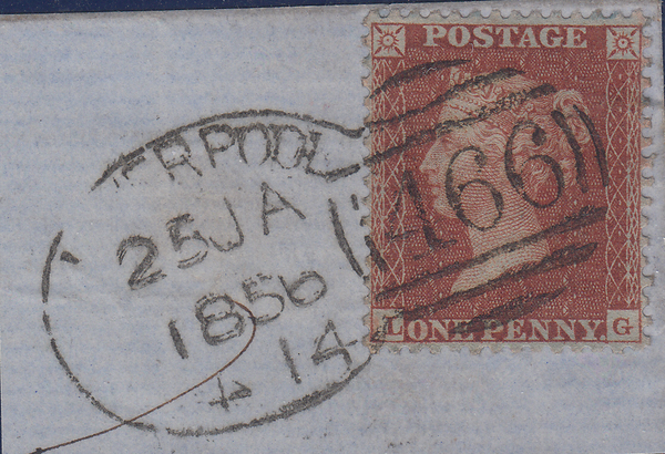 106383 - PL.11 (LG CONSTANT VARIETY)(SPEC C6g).