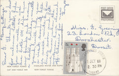 110957 - 1969 DORSET/"BLANDFORD FORUM" RUBBER DATE STAMP.